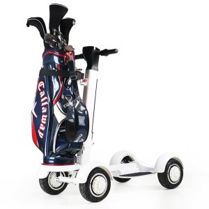 electric golf cart