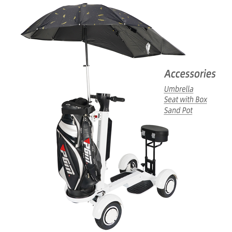 electric golf scooter