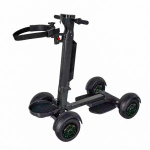 electric golf cart