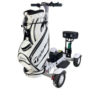 4 Wheel Personal Golf Transport Scooter with Seat Box and Enhanced Stability Control