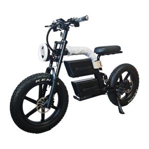 Vélo électrique fat tire ebike vélo électrique pliable electric bike fat tyre electric bike