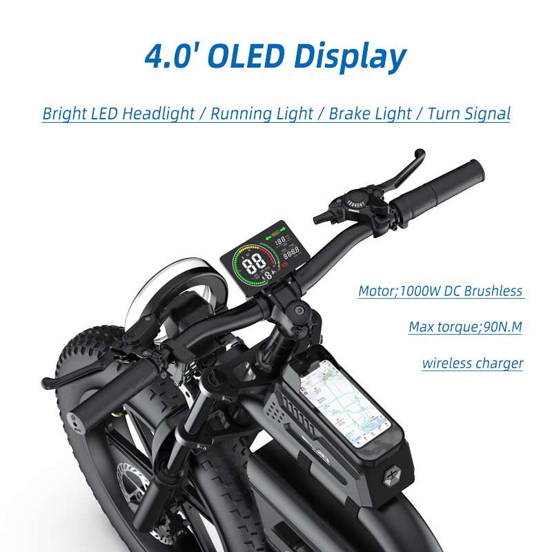 E20 4.0" OLED display