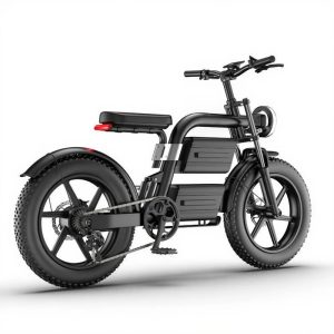 Fat Tires High-speed Off-road Adult Model at a Low Price Bicycle with Snowy Terrain Electric Mountain Bike