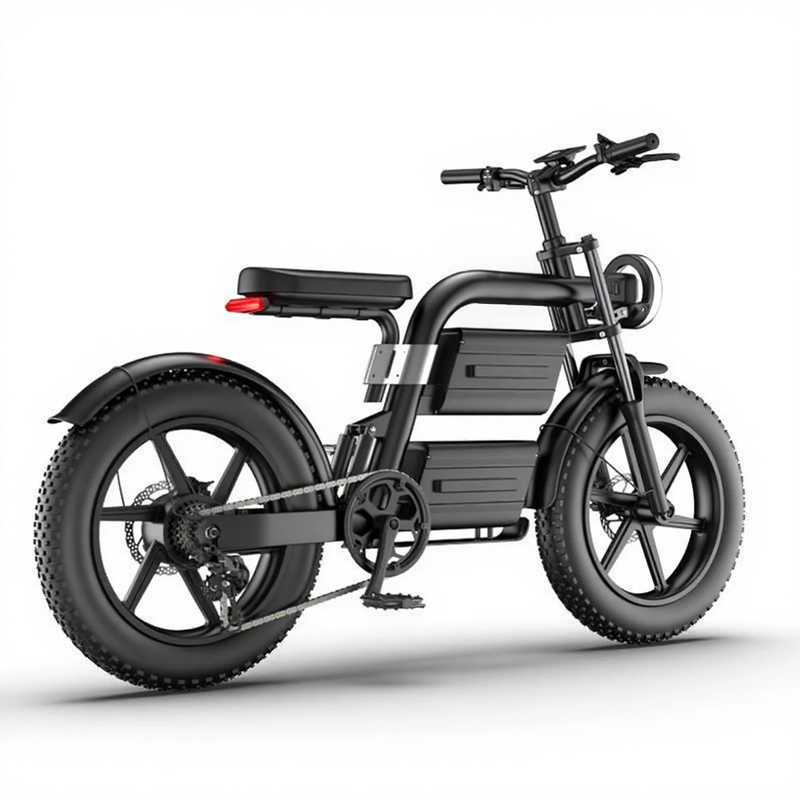 Fat Tires High-speed Off-road Adult Model at a Low Price Bicycle with Snowy Terrain Electric Mountain Bike