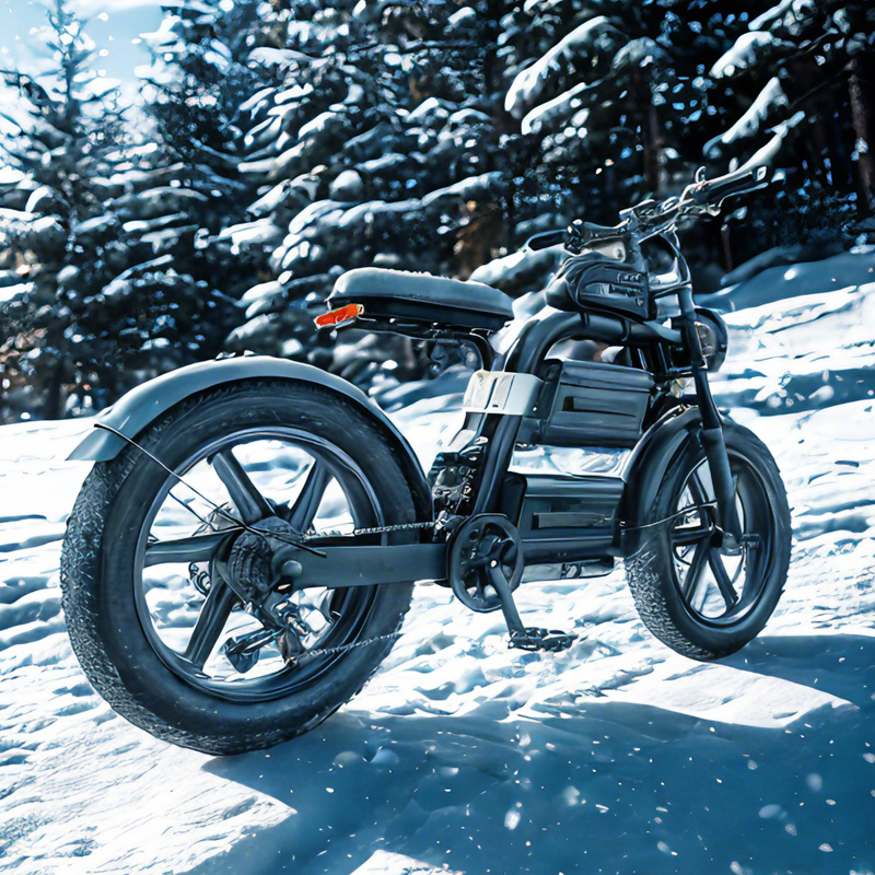 E20 in snow field