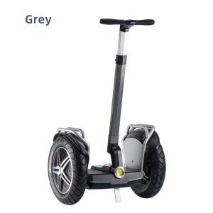 Segway 17ich Grey