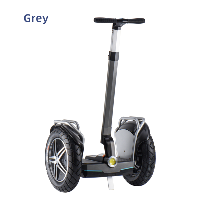 Segway 17ich Grey
