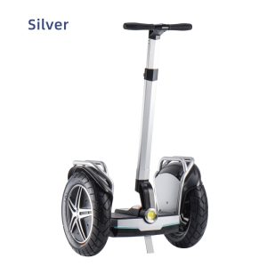 Segway 17inch Silver