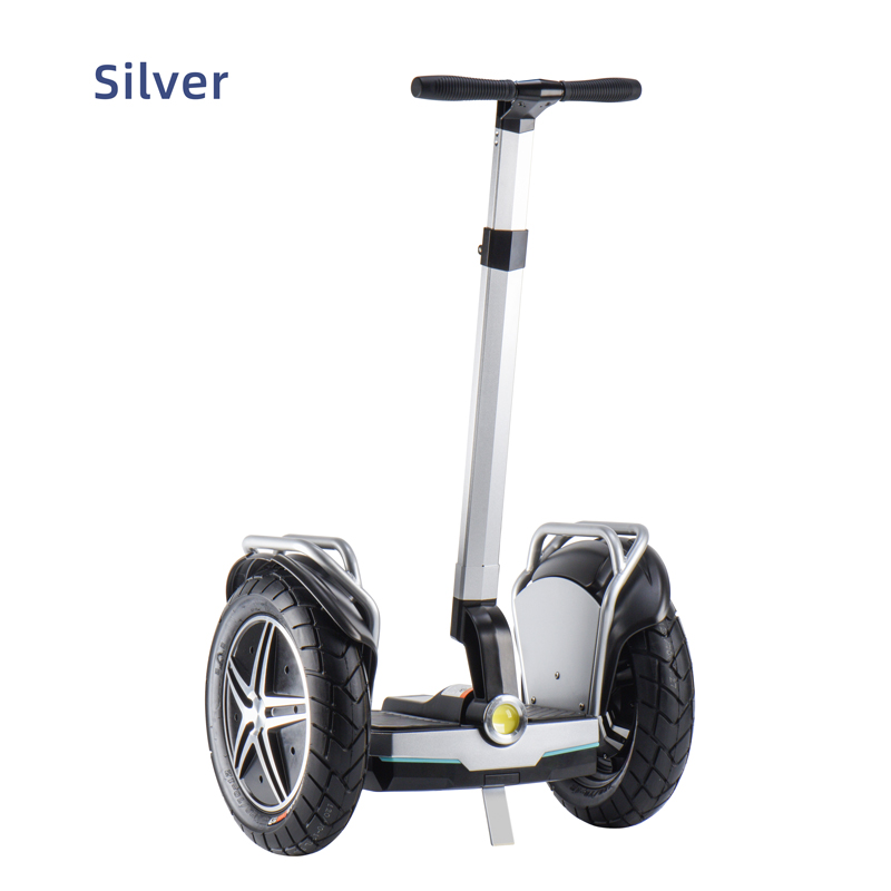 Segway 17inch Silver