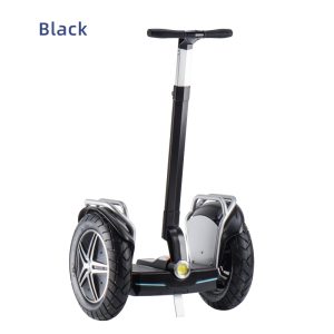Segway 17inch Black