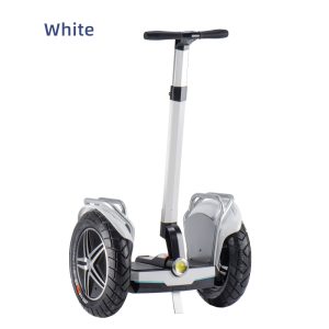 Segway 17inch white