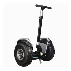 Segway 19inch Black