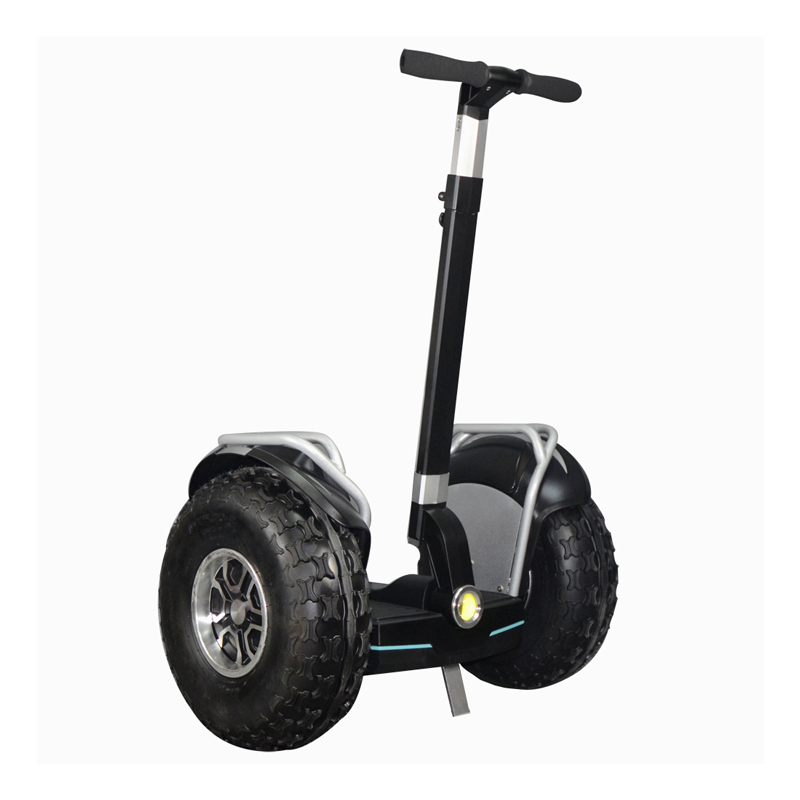 Segway 19inch Black