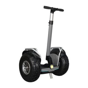 19inch Self-Balance Segway