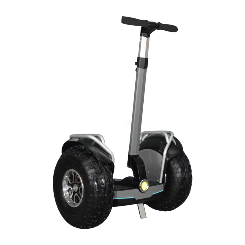 19inch Self-Balance Segway