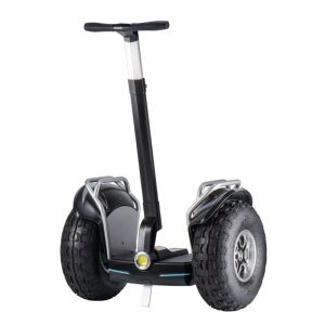 Segway 19 inch