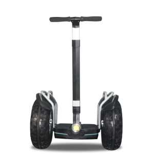 Electric Balance Scooter with Off Road Tires, Personal Mobility Chariot for Adults and Outdoor Recreation
