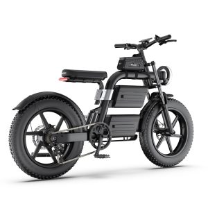Ebike Retro Fat Bike Motor Style Fat Tire Ebike with Front LED Headlight for Outside Sport
