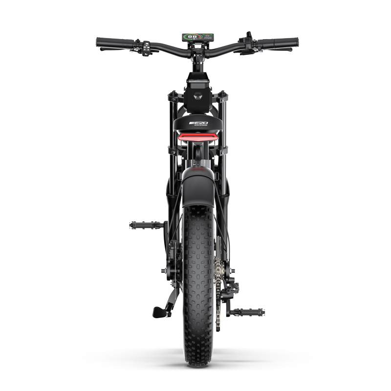Ebike Retro Fat Bike Motor Style Fat Tire Ebike with Front LED Headlight for Outside Sport - Image 6