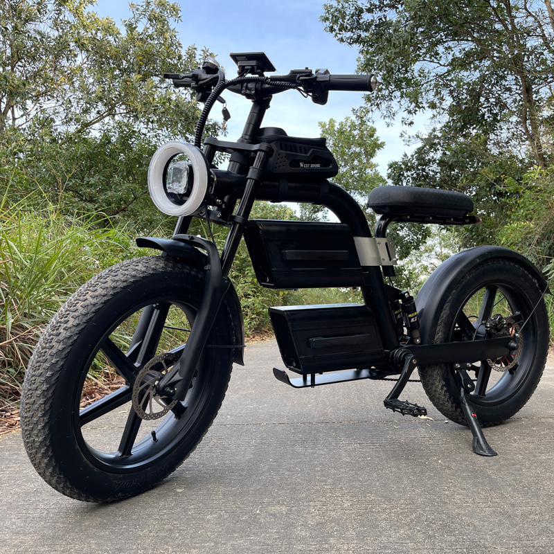 Electric Bicycle for Commuting and Outdoor Riding electric bike private label - Image 8