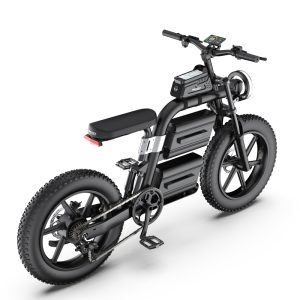 E20 Snow tire ebike