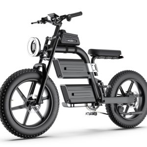 E20 MTB ebike