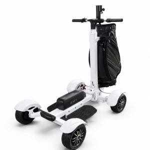 Golf resort fleet scooter Electric Four Wheel Golf Cart Alternative Compact Golf Scooter for Easy Course Navigation