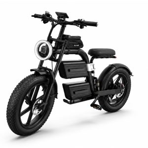 Ultra MAX 40AH Electr Bike Fat Tyre 20Inch 1000w Electric Bike 60V Lithium Battery Electric Mountain Bike