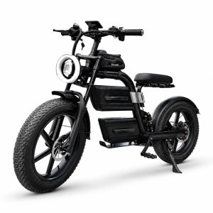 E Bike 60v LCD Meter 7 Speed 20" Fat Tire Electric Dirt Road Bike Adults Ebike Mountain Electric City Bicycle