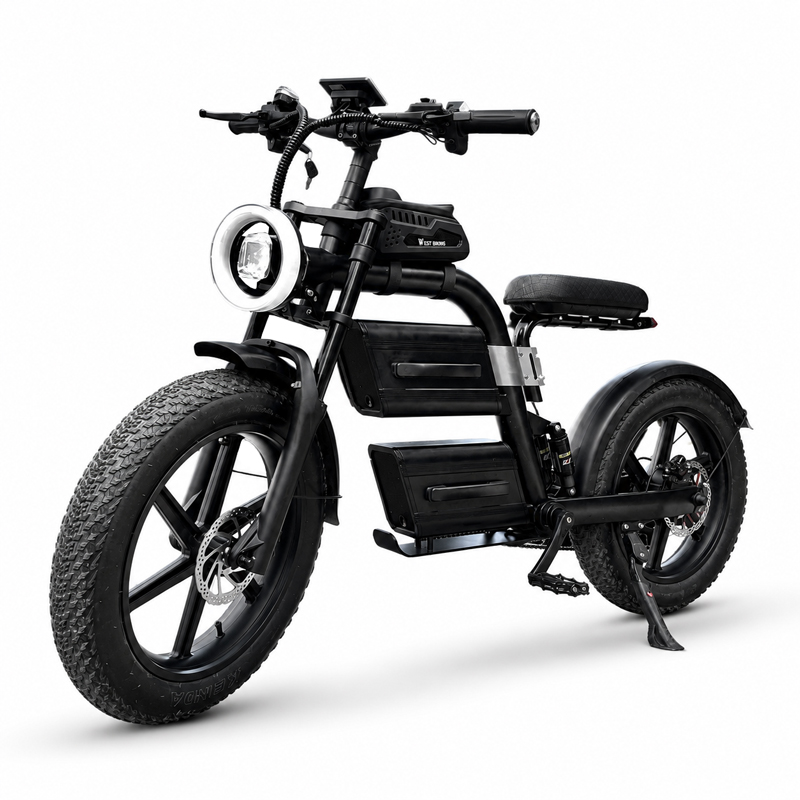 E Bike 60v LCD Meter 7 Speed 20" Fat Tire Electric Dirt Road Bike Adults Ebike Mountain Electric City Bicycle