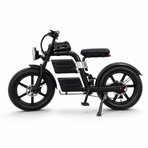 Electric Bicycle for Commuting and Outdoor Riding electric bike private label