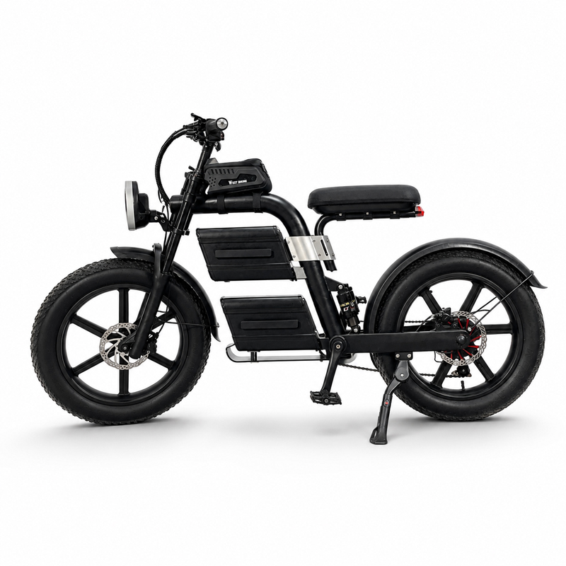 Electric Bicycle for Commuting and Outdoor Riding electric bike private label