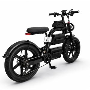 Factory Custom Fat Tire Electric Bike, Off-road E-bike with Dual Shock, Bulk Order Discount